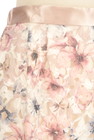 Debut de Fiore by LAISSE PASSE（デビュー・ド・フィオレ）の古着「商品番号：PR10302726」-4