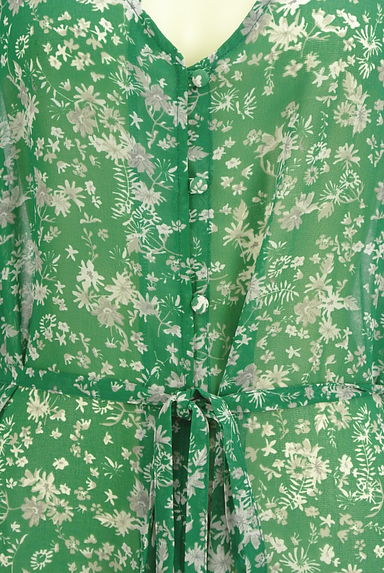 AZUL by moussy（アズールバイマウジー）の古着「ベルト付き花柄シフォンロングカーディガン（カーディガン・ボレロ）」大画像４へ
