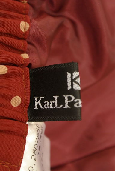 KarL Park Lane（カールパークレーン）の古着「ドット柄フレア膝下丈スカート（スカート）」大画像６へ