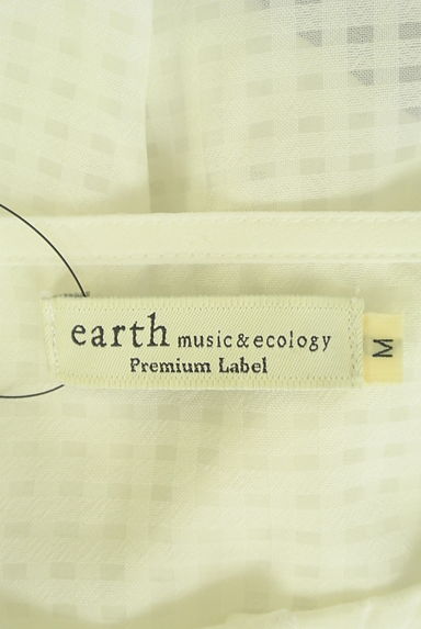 earth music&ecology（アースミュージック＆エコロジー）の古着「フリル袖ギンガムチェックシアーブラウス（ブラウス）」大画像６へ