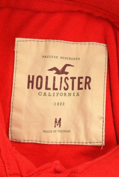 Hollister Co.（ホリスター）Ｔシャツ・カットソー買取実績のブランドタグ画像