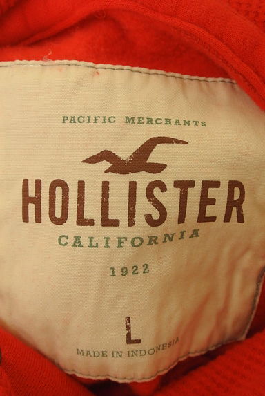 Hollister Co.（ホリスター）Ｔシャツ・カットソー買取実績のブランドタグ画像