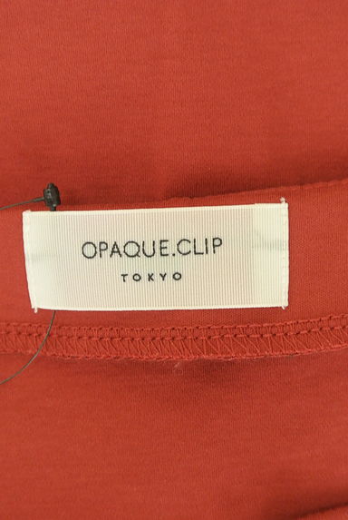 OPAQUE.CLIP（オペークドットクリップ）の古着「フレアスリーブキーネックカットソー（カットソー・プルオーバー）」大画像６へ