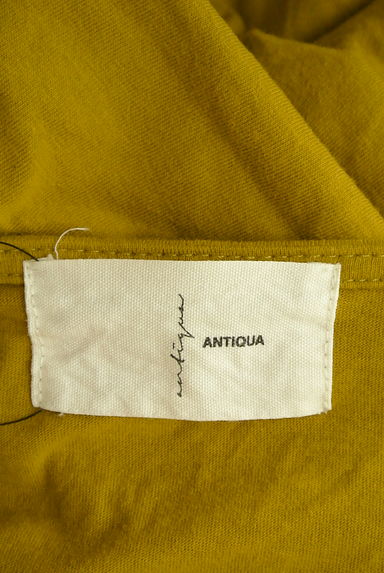 antiqua（アンティカ）の古着「ロールアップ袖ゆったりプルオーバー（カットソー・プルオーバー）」大画像６へ