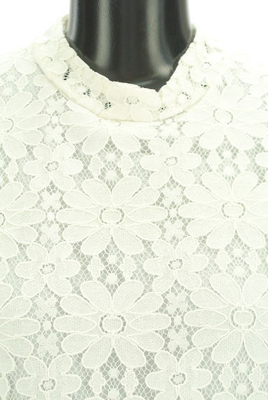 axes femme（アクシーズファム）の古着「ボリューム袖花柄レースカットソ（カットソー・プルオーバー）」大画像５へ