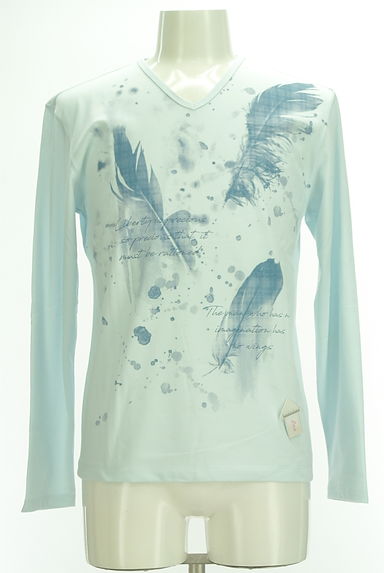 NICOLE CLUB FOR MEN（ニコルクラブフォーメン）の古着「羽根プリントVネックTシャツ（Ｔシャツ）」大画像４へ