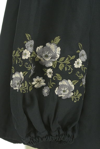 axes femme（アクシーズファム）の古着「刺繍入りボリューム袖2WAYカットソー（カットソー・プルオーバー）」大画像５へ