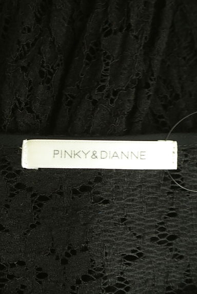 Pinky＆Dianne（ピンキー＆ダイアン）の古着「総レースカットソー（カットソー・プルオーバー）」大画像６へ