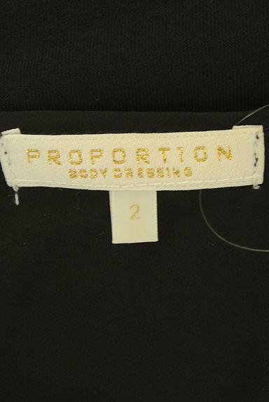 PROPORTION BODY DRESSING（プロポーションボディ ドレッシング）の古着「パールネックラインシフォンカットソー（カットソー・プルオーバー）」大画像６へ