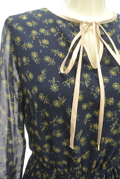 Couture Brooch（クチュールブローチ）の古着「花柄×ラメドットロングシフォンワンピース（ワンピース・チュニック）」大画像４へ