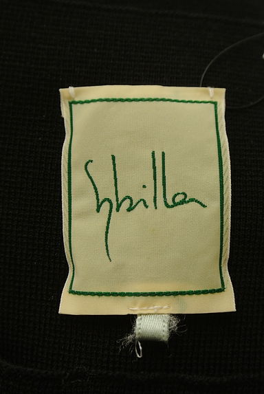 Sybilla（シビラ）の古着「接触冷感コンパクトニットトップス（ニット）」大画像６へ