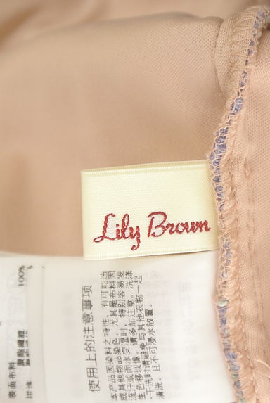 Lily Brown（リリーブラウン）の古着「花柄刺繍レースミニワンピース（ワンピース・チュニック）」大画像６へ