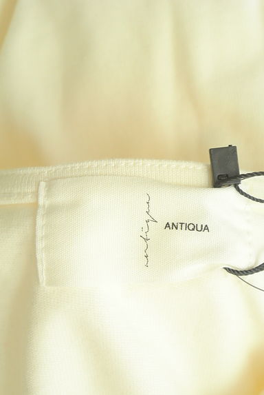 antiqua（アンティカ）の古着「カレッジロゴカットソー（カットソー・プルオーバー）」大画像６へ