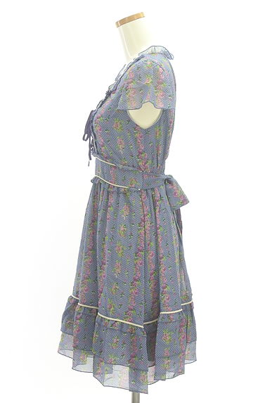 axes femme（アクシーズファム）の古着「ドット×花柄膝丈シフォンワンピース（ワンピース・チュニック）」大画像３へ