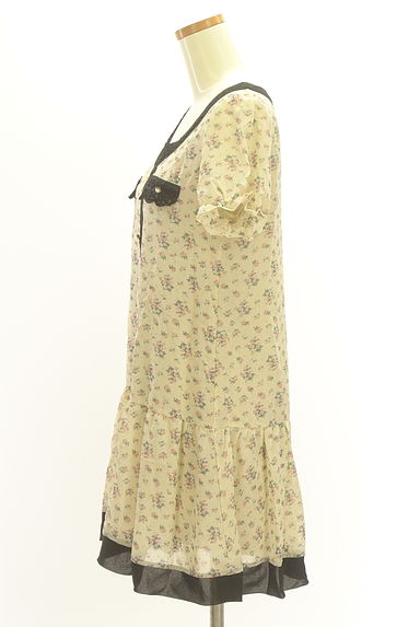 axes femme（アクシーズファム）の古着「小花×ラメドット膝上シフォンワンピース（ワンピース・チュニック）」大画像３へ