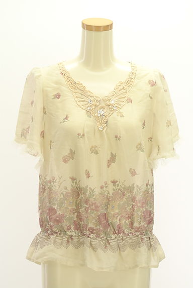 axes femme（アクシーズファム）の古着「刺繍ネック花柄シアーカットソー（カットソー・プルオーバー）」大画像１へ