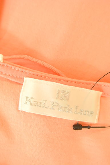 KarL Park Lane（カールパークレーン）の古着「シフォンフリル袖切替プルオーバー（カットソー・プルオーバー）」大画像６へ
