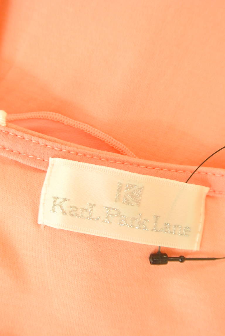 KarL Park Lane（カールパークレーン）の古着「商品番号：PR10314279」-大画像6