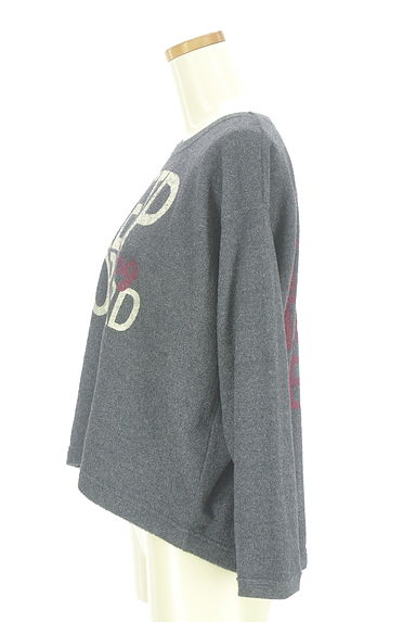 CUBE SUGAR（キューブシュガー）の古着「ビッグロゴ裏起毛パイルトップス（カットソー・プルオーバー）」大画像３へ