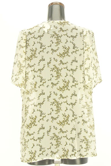 AZUL BY MOUSSY（アズールバイマウジー）の古着「ミモザ柄キーネックシフォンカットソー（カットソー・プルオーバー）」大画像２へ