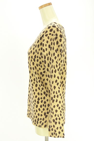 AZUL BY MOUSSY（アズールバイマウジー）の古着「レオパード柄Vネックニット（ニット）」大画像３へ