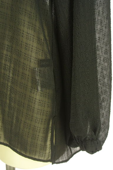 LAUTREAMONT（ロートレアモン）の古着「チェック柄シアーカットソー（カットソー・プルオーバー）」大画像５へ