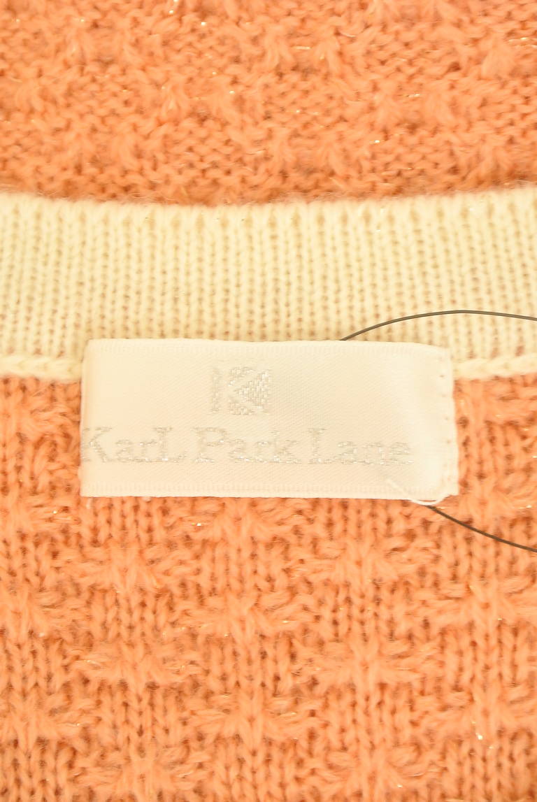 KarL Park Lane（カールパークレーン）の古着「商品番号：PR10315818」-大画像6