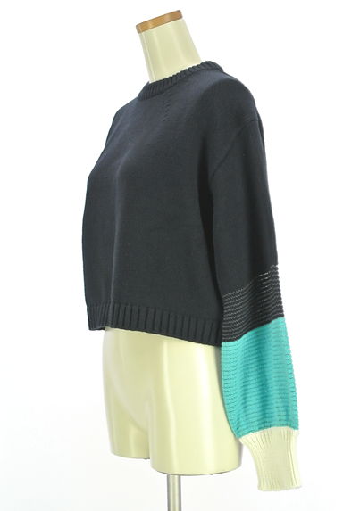 HUMAN WOMAN（ヒューマンウーマン）の古着「配色ショートニットトップス（ニット）」大画像３へ