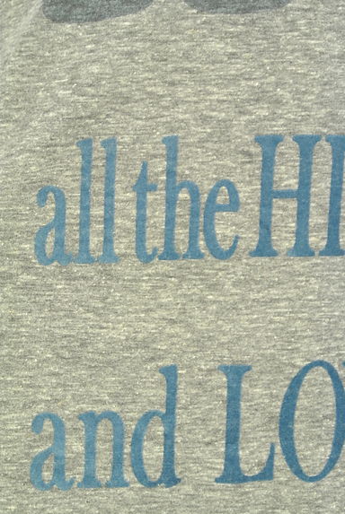 Lily Brown（リリーブラウン）の古着「フロッキープリントフレアTシャツ（Ｔシャツ）」大画像４へ