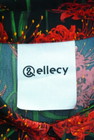 &ellecy（アンドエルシー）の古着「商品番号：PR10317781」-6