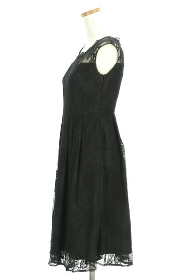 PROPORTION BODY DRESSING（プロポーションボディ ドレッシング）の古着「花柄刺繍チュール膝丈ワンピース（ワンピース・チュニック）」大画像３へ