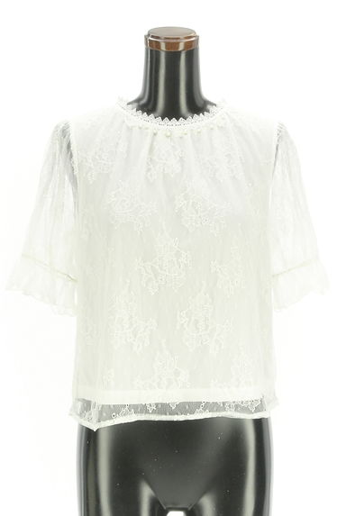 axes femme（アクシーズファム）の古着「フラワー総レースプルオーバー（カットソー・プルオーバー）」大画像１へ