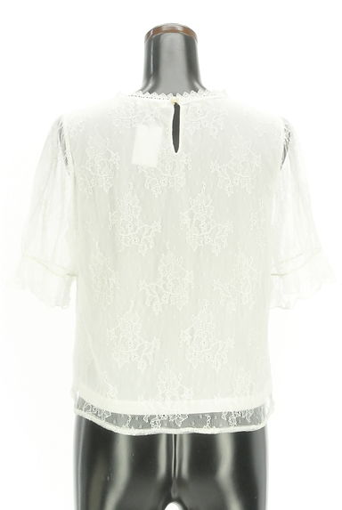 axes femme（アクシーズファム）の古着「フラワー総レースプルオーバー（カットソー・プルオーバー）」大画像２へ