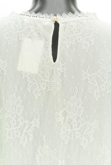 axes femme（アクシーズファム）の古着「フラワー総レースプルオーバー（カットソー・プルオーバー）」大画像５へ