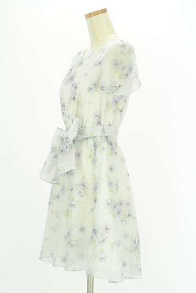 WILLSELECTION（ウィルセレクション）の古着「ベルト付き花柄シアー膝上ワンピース（ワンピース・チュニック）」大画像３へ