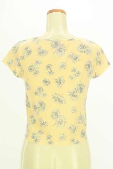 dazzlin（ダズリン）の古着「花柄コンパクトTシャツ（Ｔシャツ）」大画像２へ