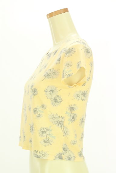 dazzlin（ダズリン）の古着「花柄コンパクトTシャツ（Ｔシャツ）」大画像３へ