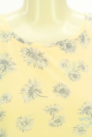 dazzlin（ダズリン）の古着「花柄コンパクトTシャツ（Ｔシャツ）」大画像４へ