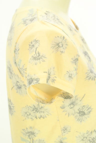 dazzlin（ダズリン）の古着「花柄コンパクトTシャツ（Ｔシャツ）」大画像５へ