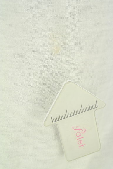 axes femme（アクシーズファム）の古着「刺繍レースカットソー（カットソー・プルオーバー）」大画像５へ