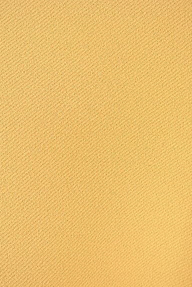ROPE（ロペ）の古着「ボリューム袖ボートネックカットソー（カットソー・プルオーバー）」大画像５へ