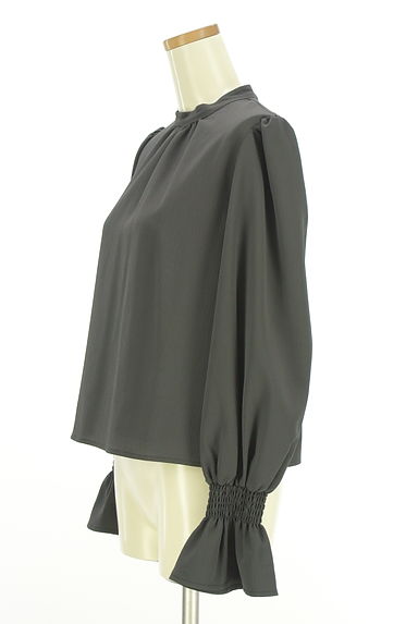 PROPORTION BODY DRESSING（プロポーションボディ ドレッシング）の古着「キャンディスリーブシフォンカットソー（カットソー・プルオーバー）」大画像３へ