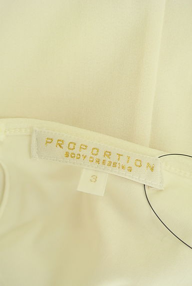 PROPORTION BODY DRESSING（プロポーションボディ ドレッシング）の古着「ヨークレースシフォンカットソー（カットソー・プルオーバー）」大画像６へ