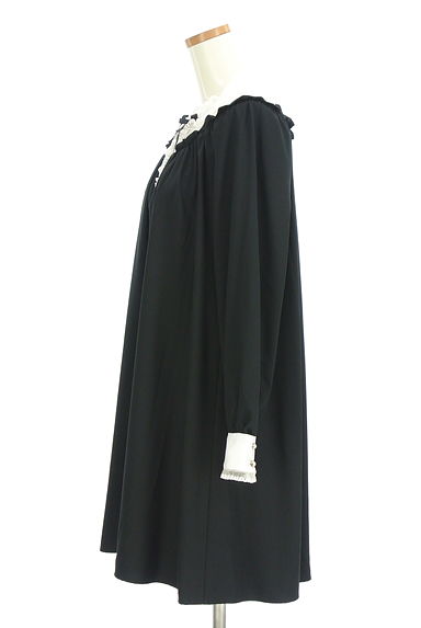 axes femme（アクシーズファム）の古着「ドットチュール切替バイカラー膝上ワンピース（ワンピース・チュニック）」大画像３へ