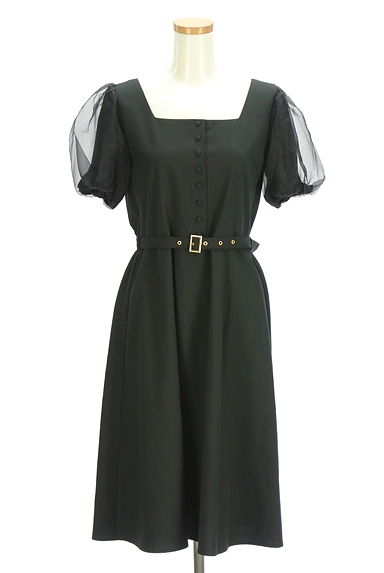 axes femme（アクシーズファム）の古着「オーガンジーボリューム袖膝下ワンピース（ワンピース・チュニック）」大画像１へ