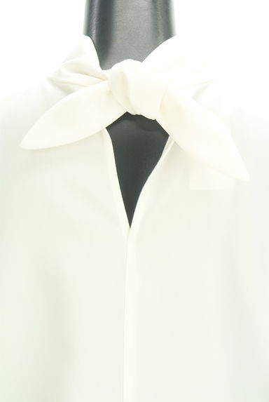 DRESSTERIOR（ドレステリア）の古着「バックリボンハイネックカットソー（カットソー・プルオーバー）」大画像４へ