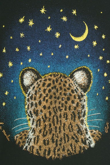 ITALIYA（伊太利屋）の古着「ヒョウプリントニットトップス（ニット）」大画像５へ