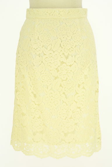 PROPORTION BODY DRESSING（プロポーションボディ ドレッシング）の古着「総レース膝丈スカート（スカート）」大画像１へ