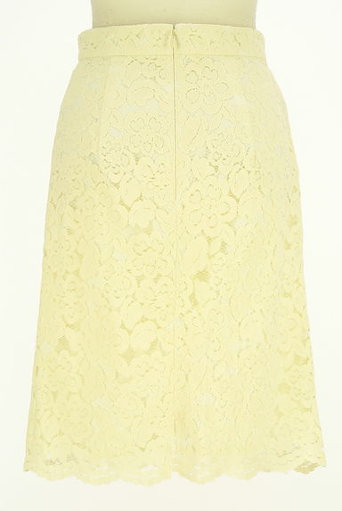PROPORTION BODY DRESSING（プロポーションボディ ドレッシング）の古着「総レース膝丈スカート（スカート）」大画像２へ