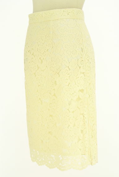 PROPORTION BODY DRESSING（プロポーションボディ ドレッシング）の古着「総レース膝丈スカート（スカート）」大画像３へ